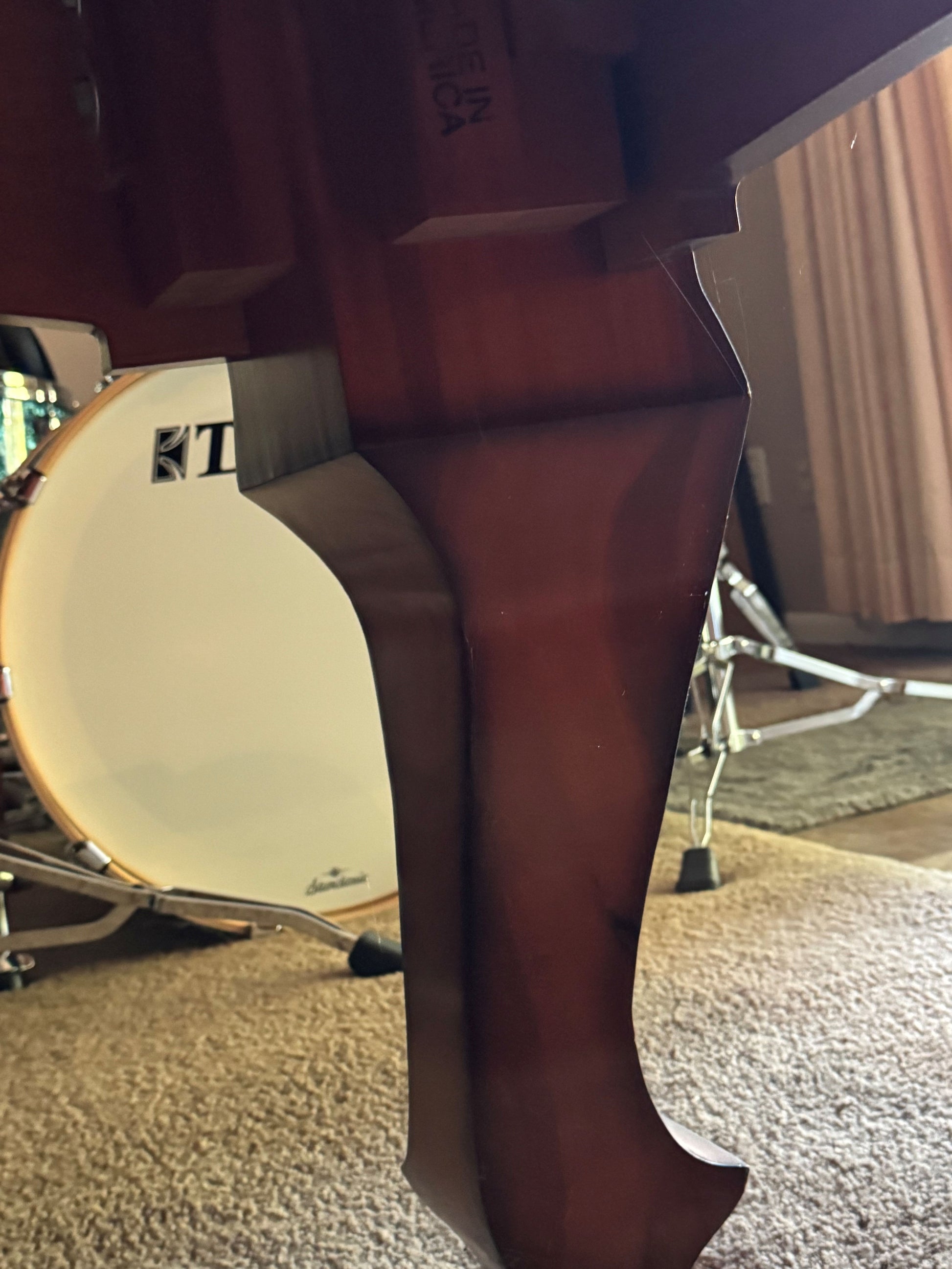 Leg