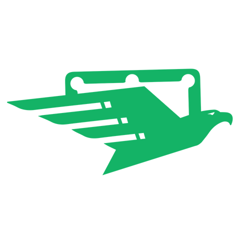 Eagle flying over pool table icon